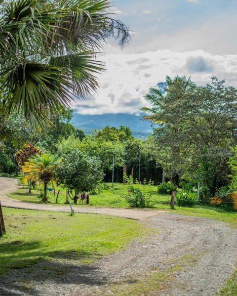 Linda Casa De Verano Con Amplias Zonas Verdes San Isidro De El General Exteriör bild