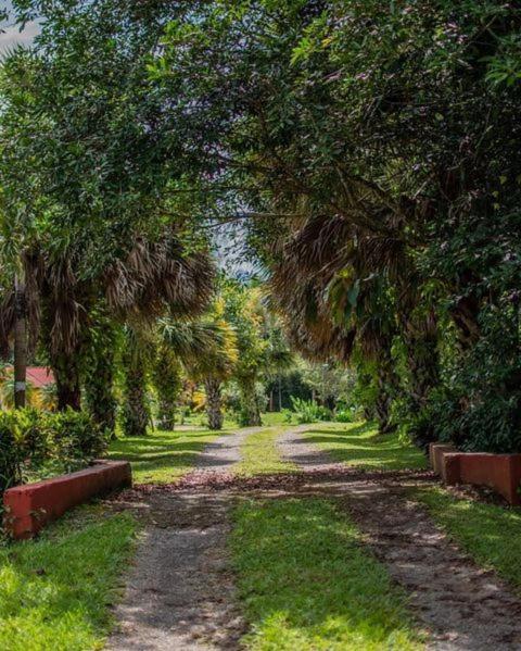 Linda Casa De Verano Con Amplias Zonas Verdes San Isidro De El General Exteriör bild